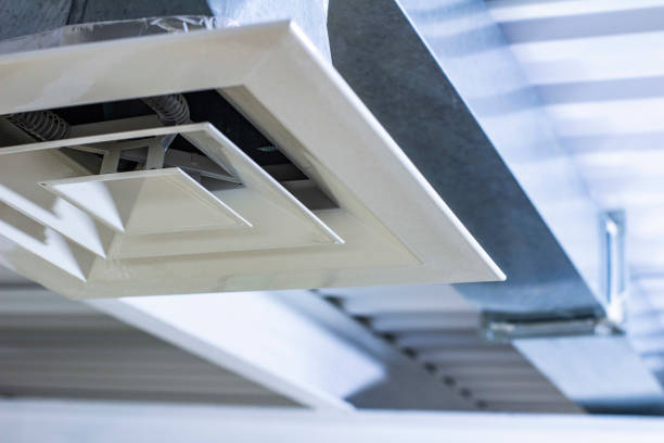 Best HVAC Duct Inspection Services  in Roscommon, MI