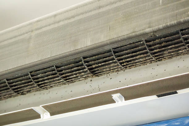 Best Residential Air Duct Cleaning  in Roscommon, MI